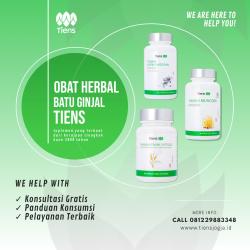 Manfaat Luar Biasa Obat Herbal Batu Ginjal Tiens untuk Kesehatan Ginjal Anda