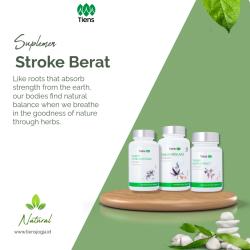 Penyakit Stroke dan Solusi dengan Produk Tiens