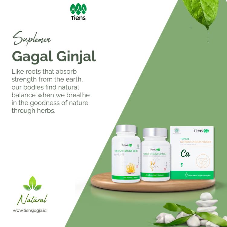 Gagal Ginjal: Penyebab, Gejala, dan Solusi Alami dengan Produk Tiens